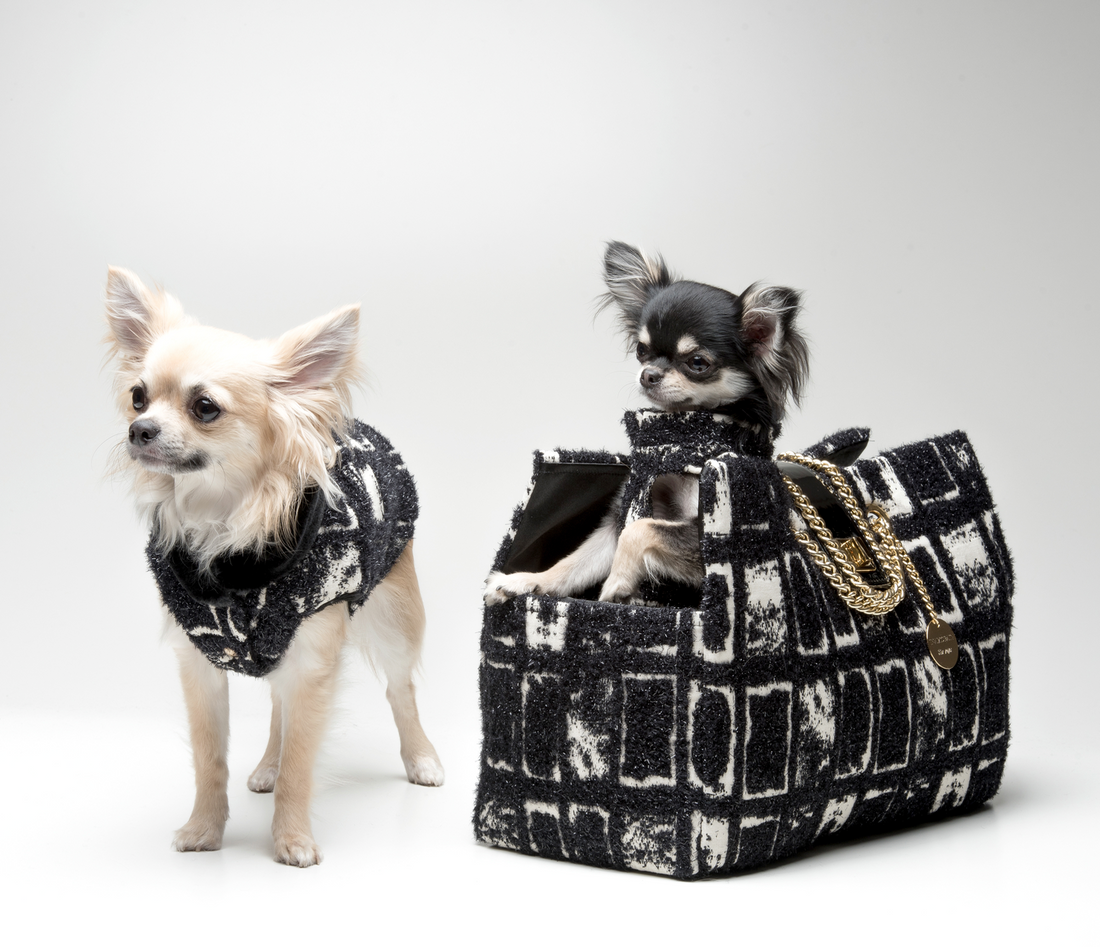 Brand My Pet Luxury Boutique, abbigliamento e accessori di lusso per cani | mypetluxuryboutique.com