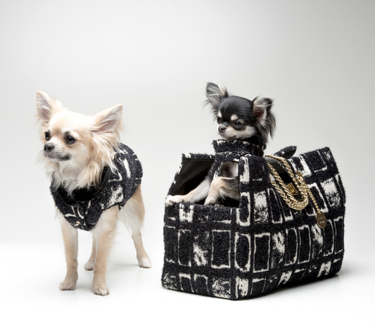 Brand My Pet Luxury Boutique, abbigliamento e accessori di lusso per cani | mypetluxuryboutique.com
