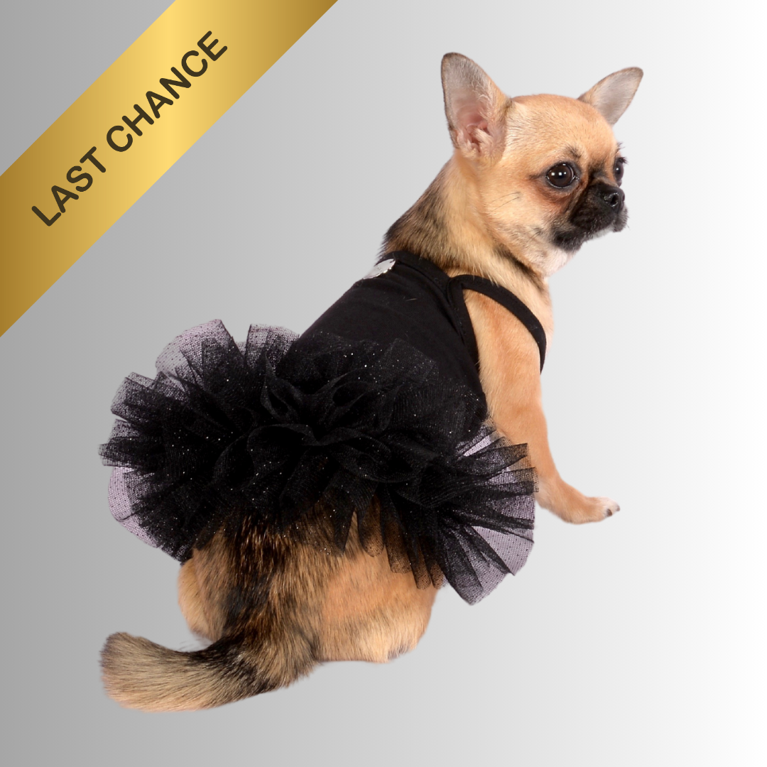 Tutu in Cotone e Tulle