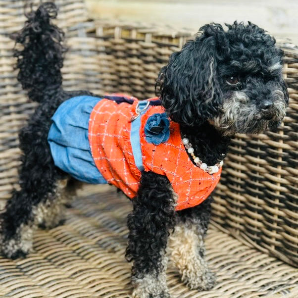 Orangine Tweed Skirted Harness