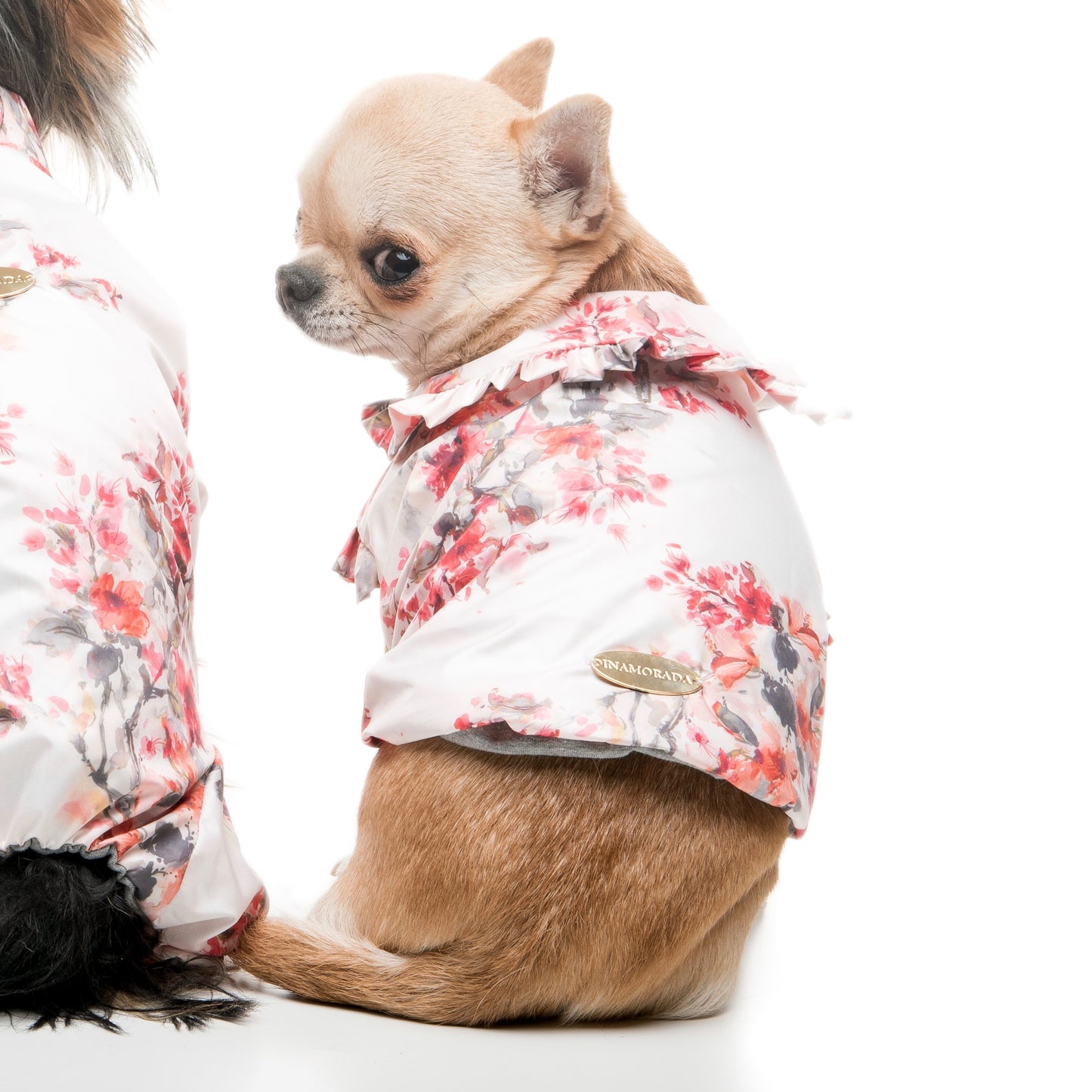 Impermeabile per cani Sakura