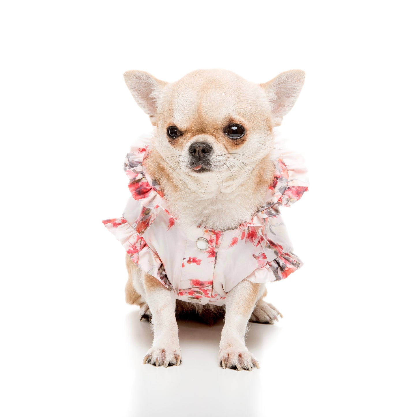 Impermeabile per cani Sakura