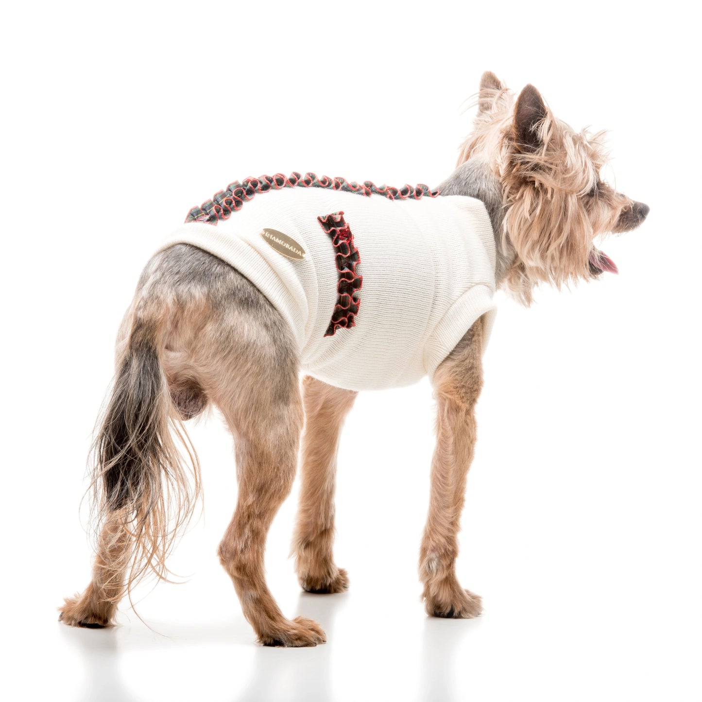 Maglione natalizio per cani in lana con dettagli in tartan