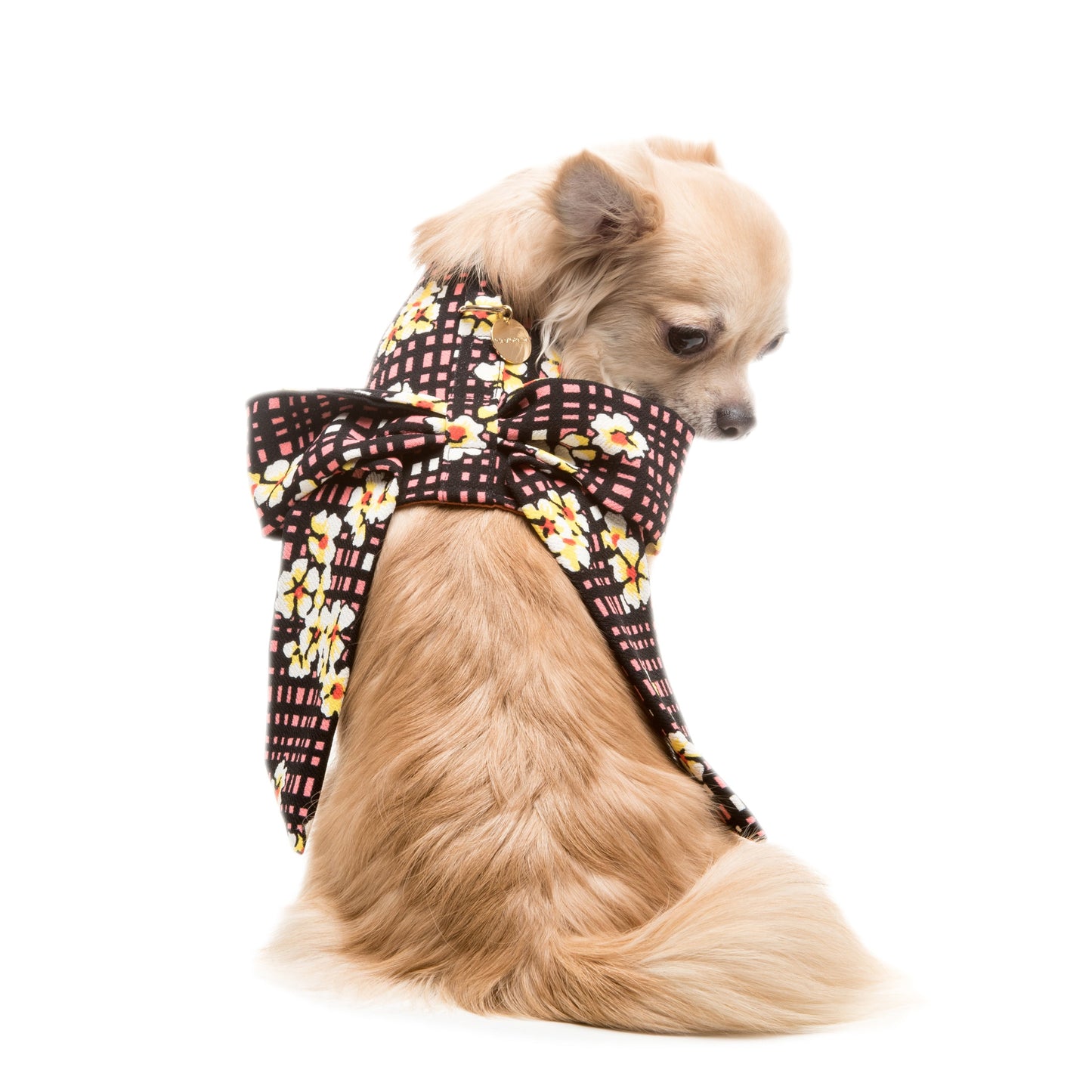 Pettorina Kimono