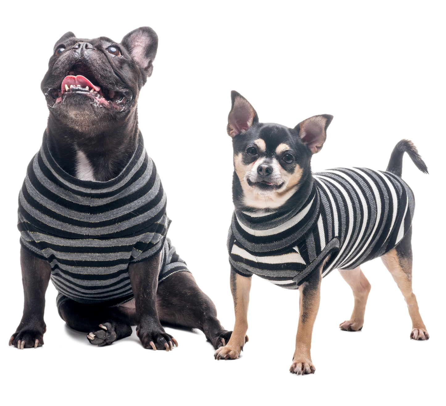Maglioncino Striped Look per Bulli e Carlini