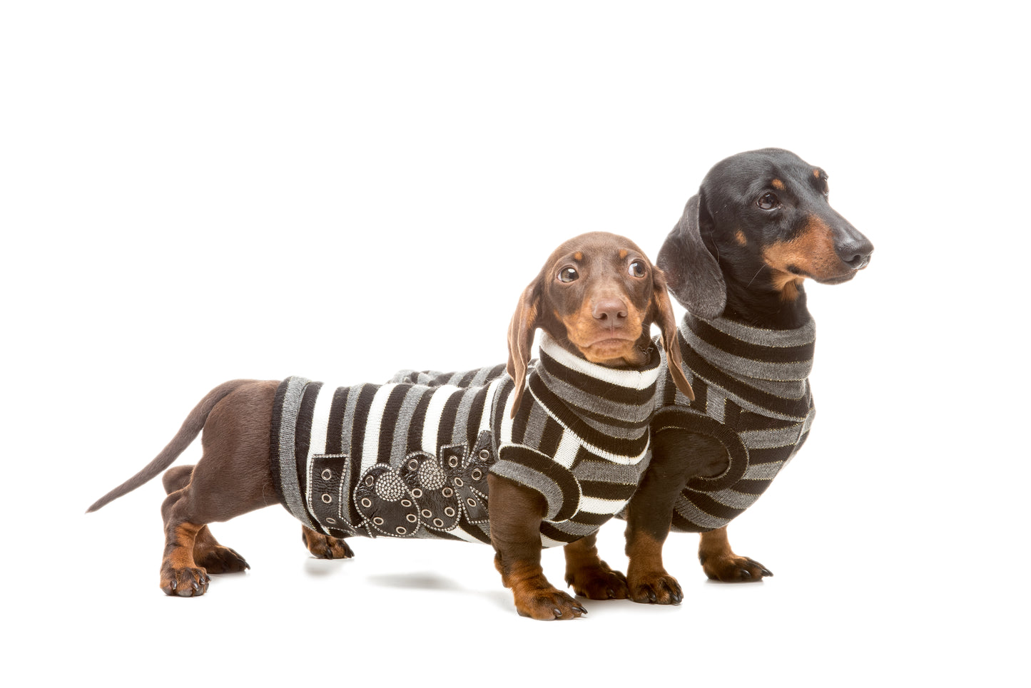Maglioncino a righe Striped Look per Bassotto