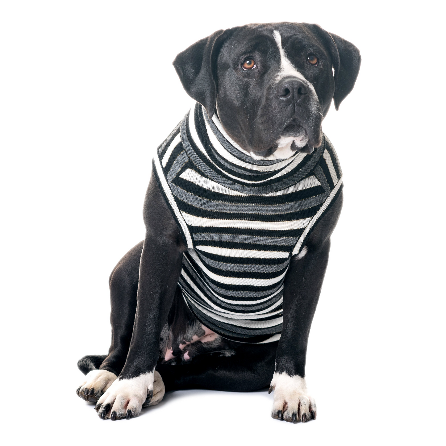 Dolcevita in Lana Striped Look