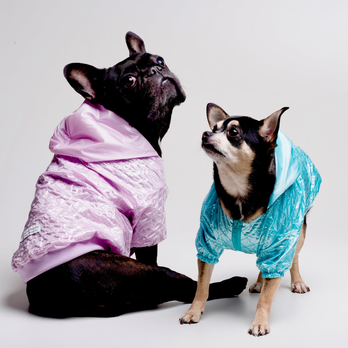 Impermeabile Glossy per Bullo e Carlino