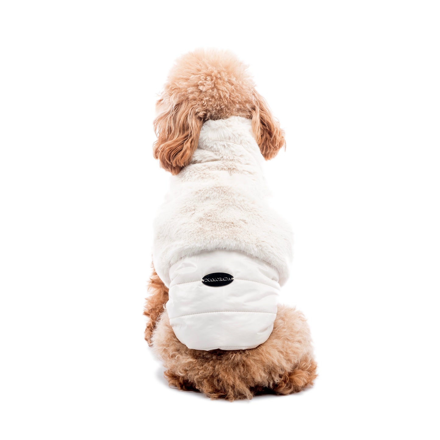 POLAR BEAR Down Jacket