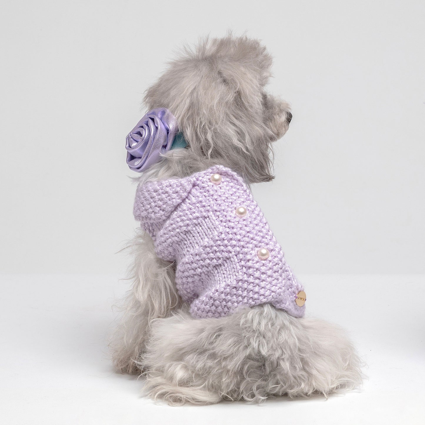 Sweet Cardigan