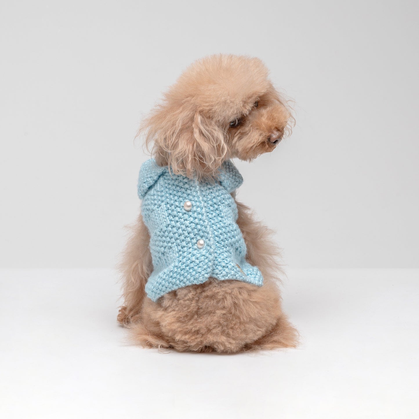 Sweet Cardigan