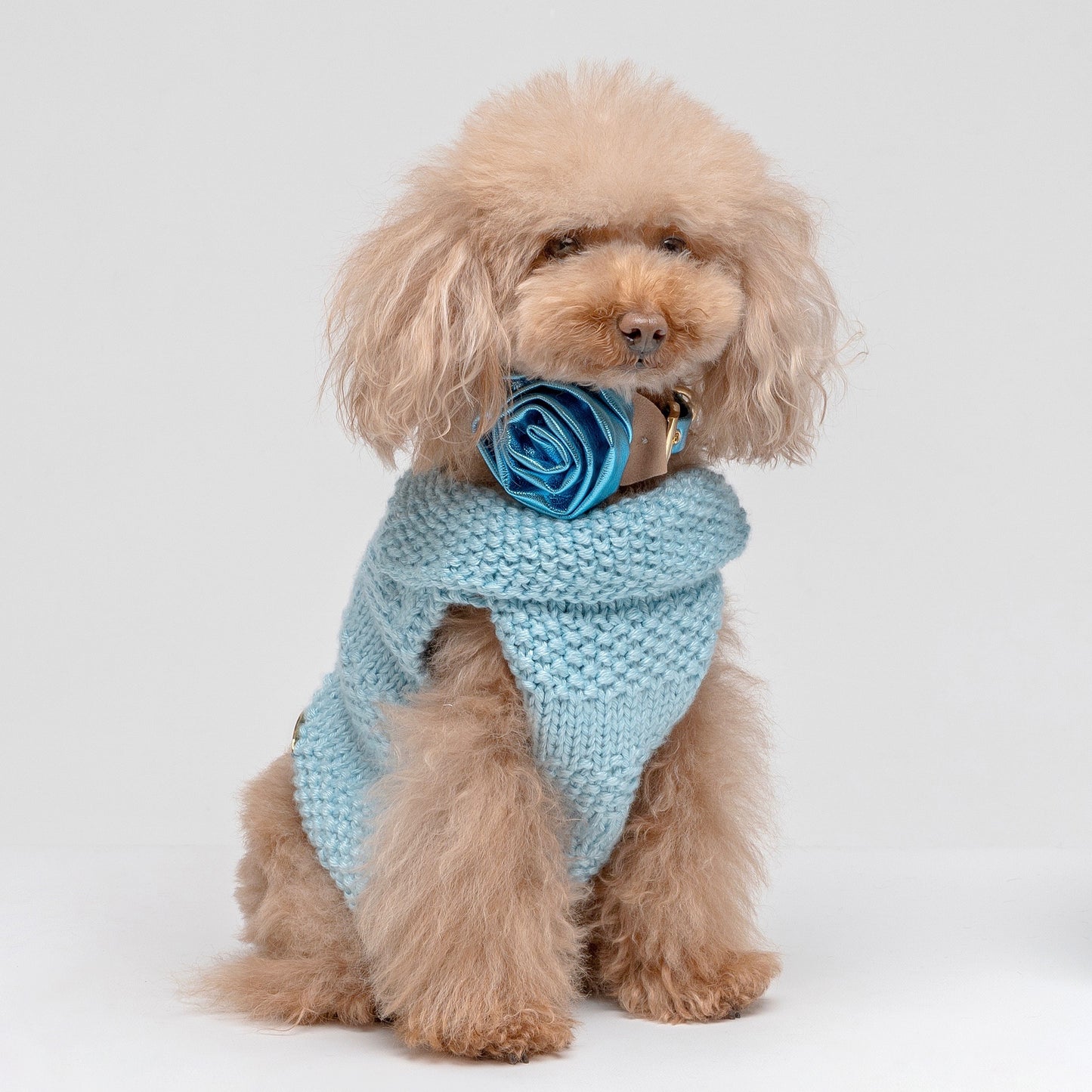 Sweet Cardigan