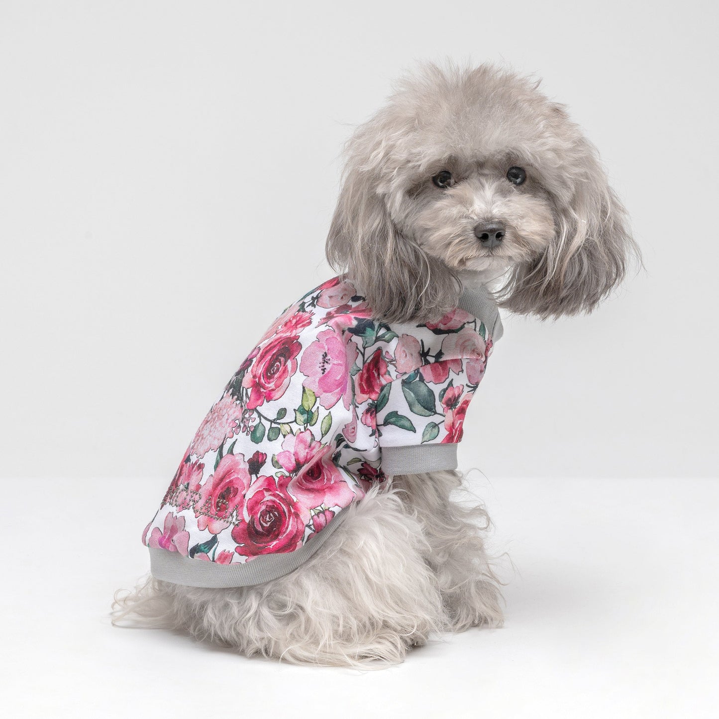 Felpa Rose
