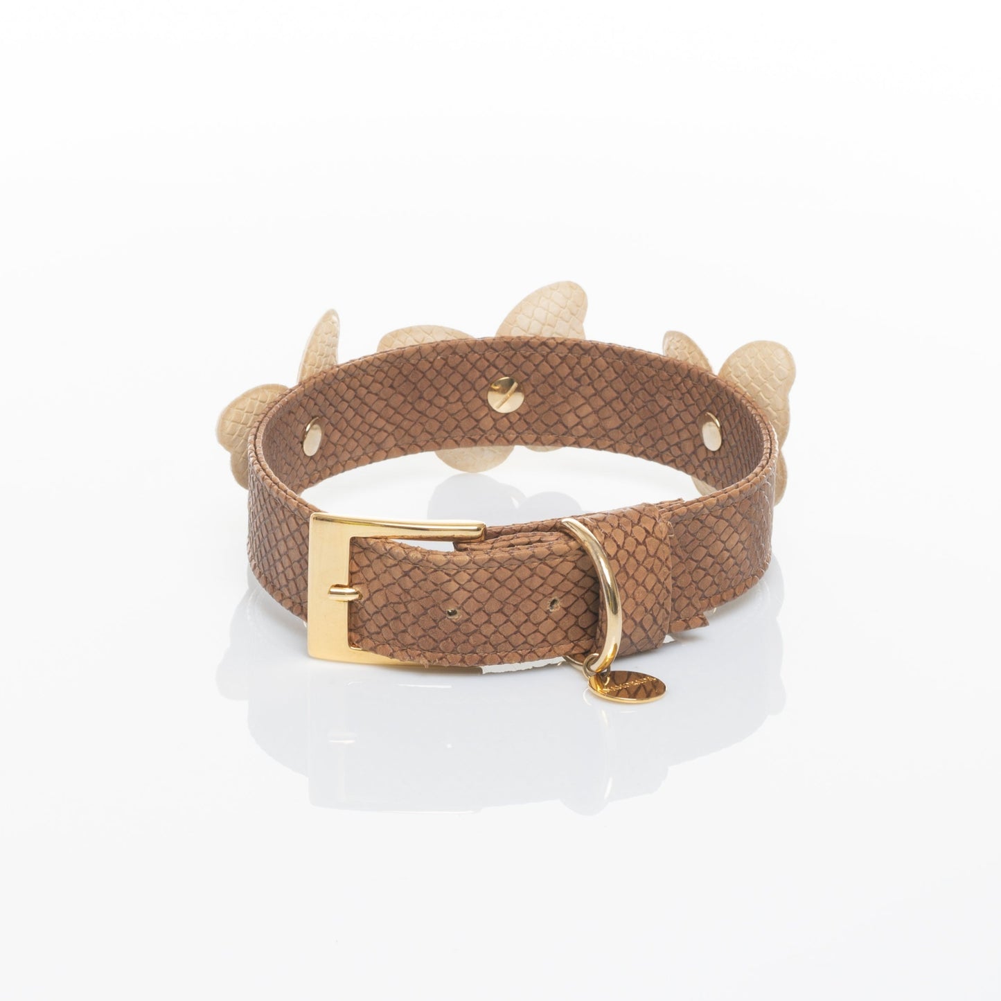Butterfly Collar Large Sizes