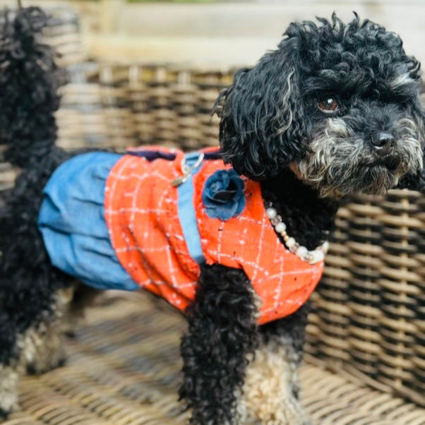 Orangine Tweed Skirted Harness