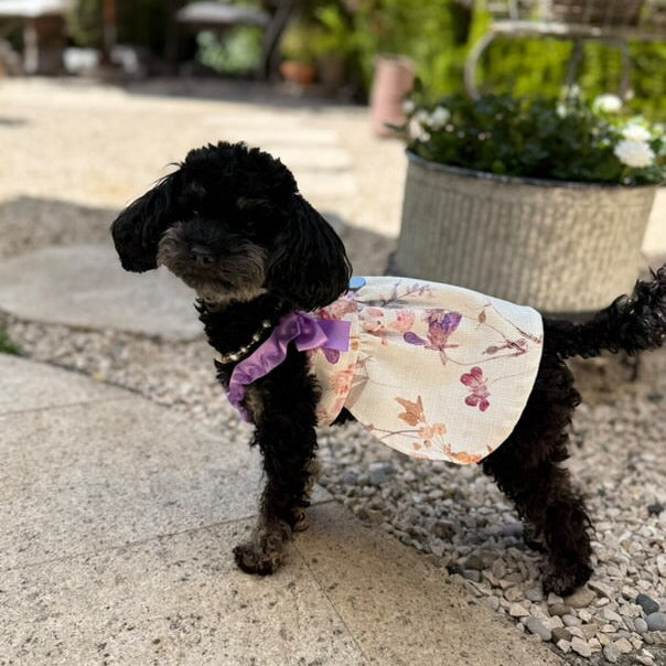 Bambolina Dress