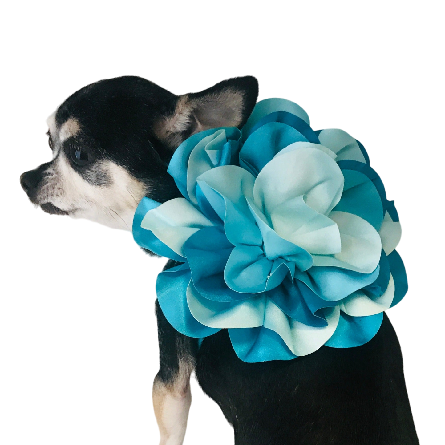THE BOUQUET HARNESS
