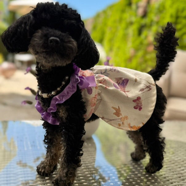 Bambolina Dress