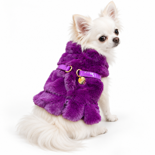 Ruffled Fur Harness