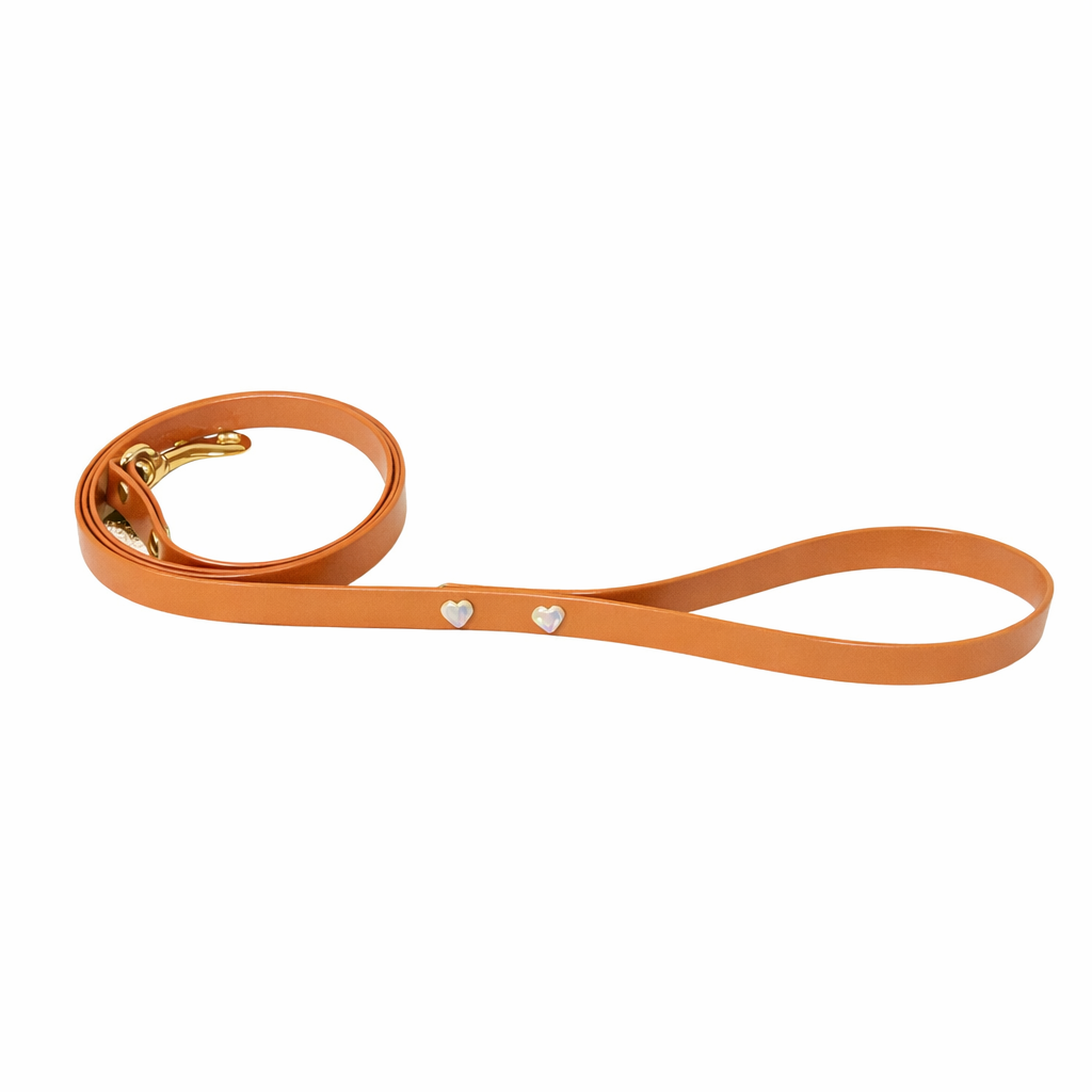 Revêrie matching Leash