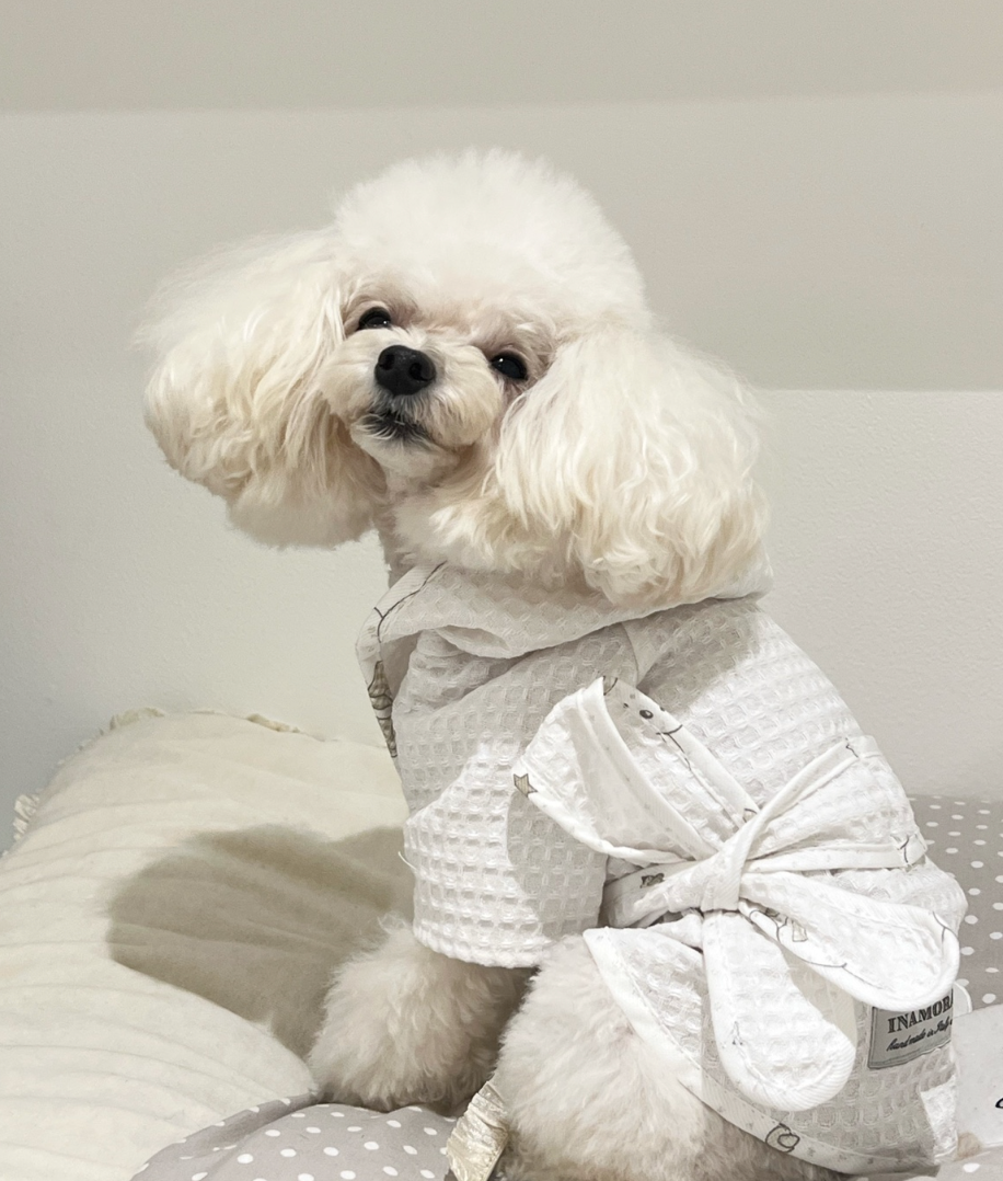 Barboncino che indossa accappatoio per cani Tidy | My Pet Luxury Boutique | mypetluxuryboutique.com