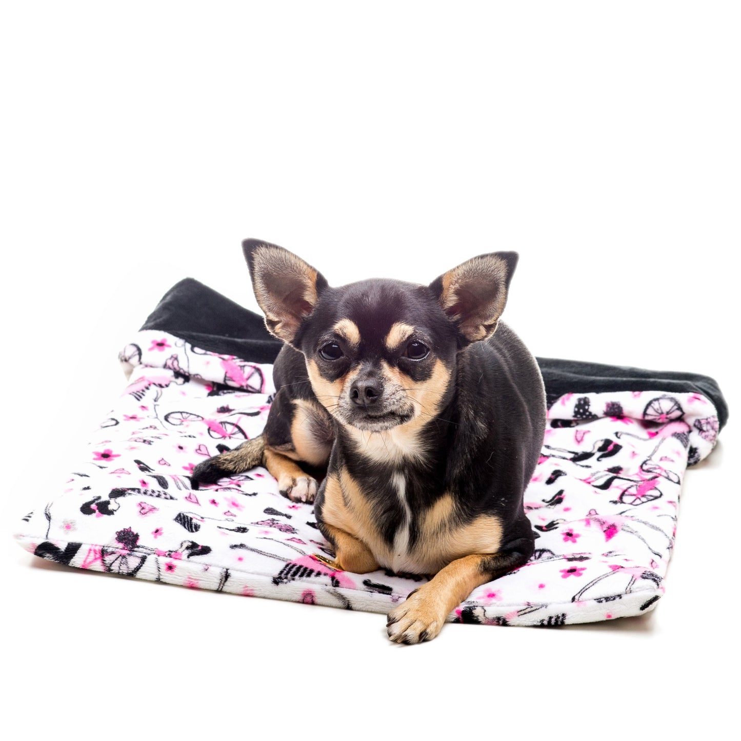 Chihuahua su sacconanna Paris per cani | My Pet Luxury Boutique |mypetluxuryboutique.com