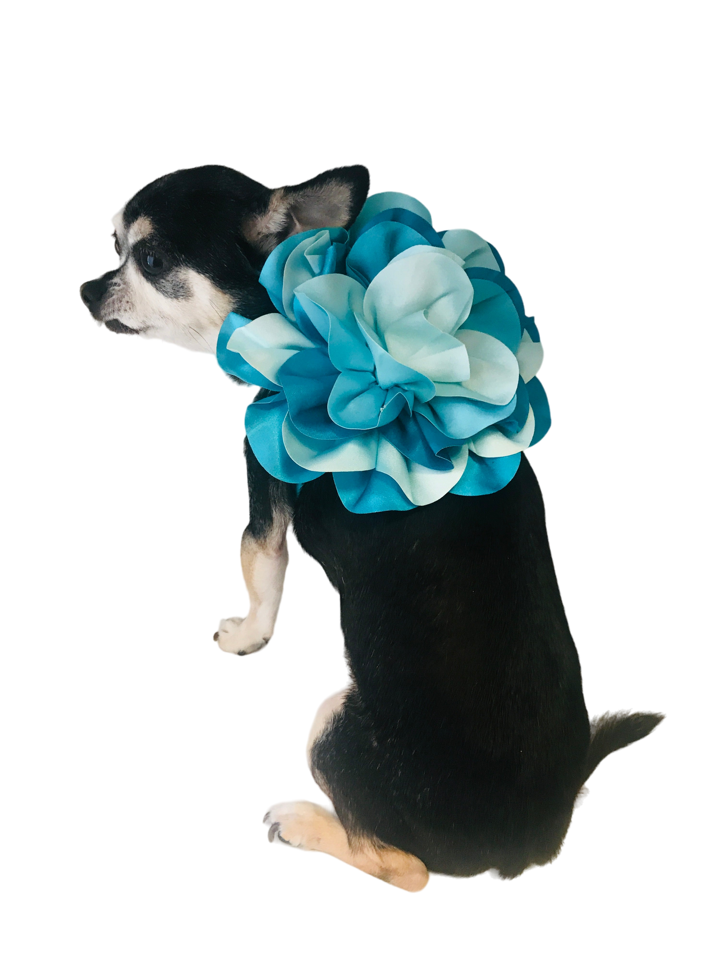 THE BOUQUET HARNESS