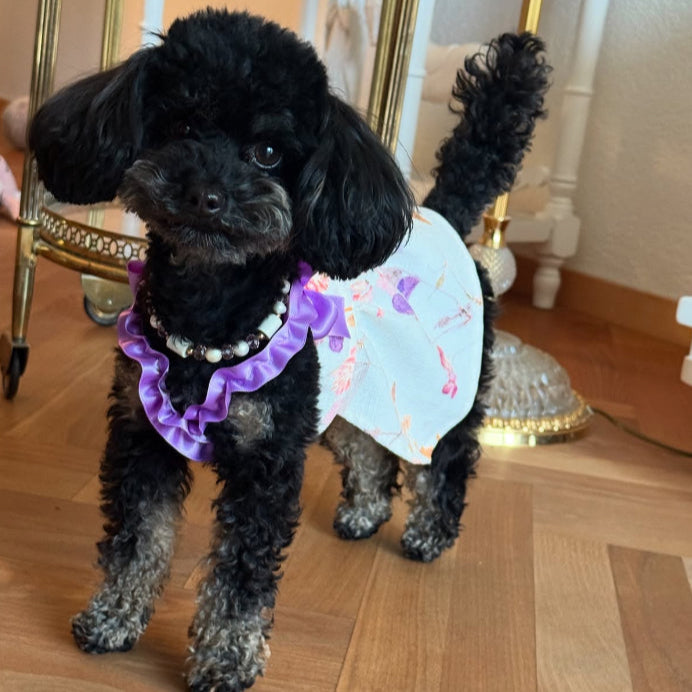 Bambolina Dress