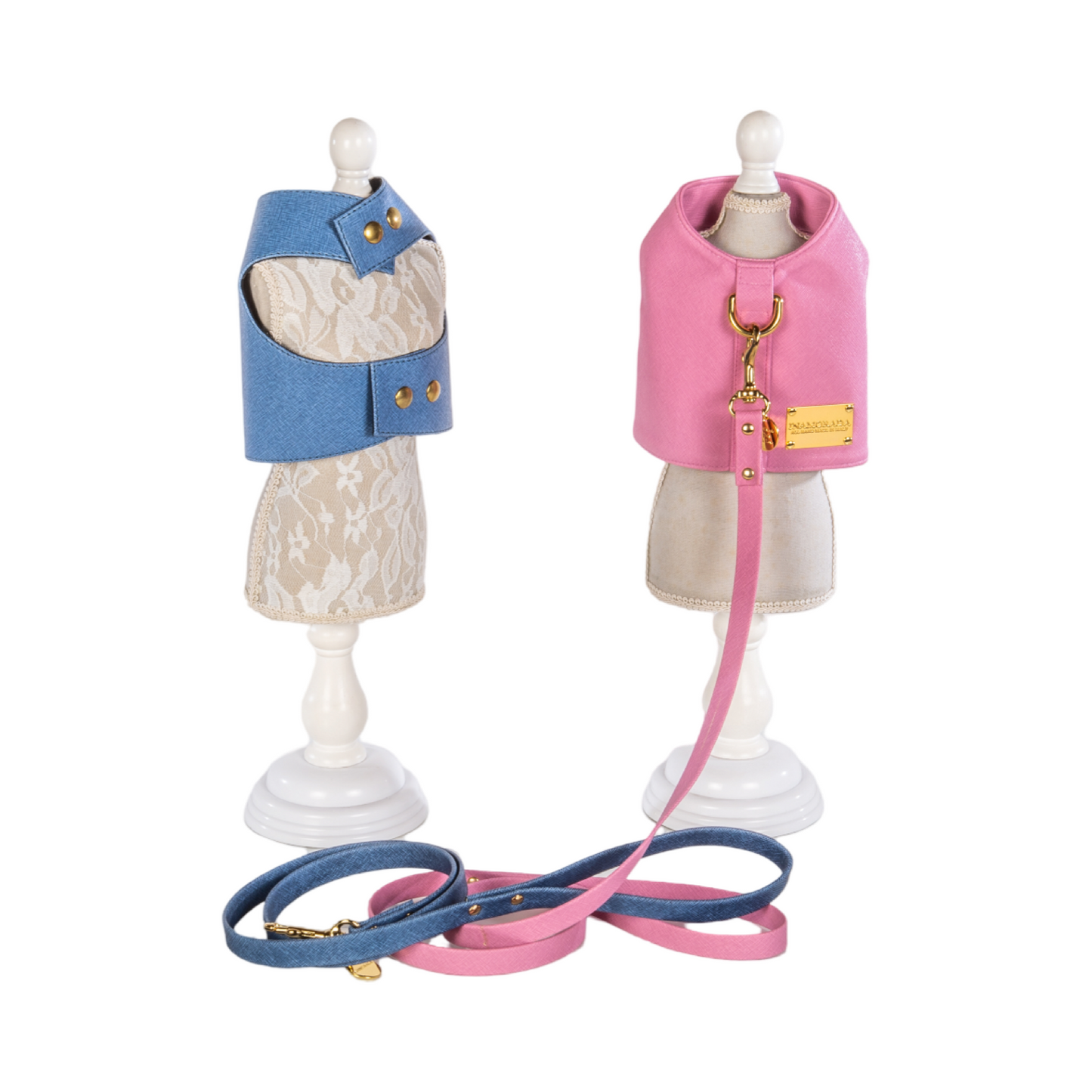 Set Pettorina e Guinzaglio Saffy