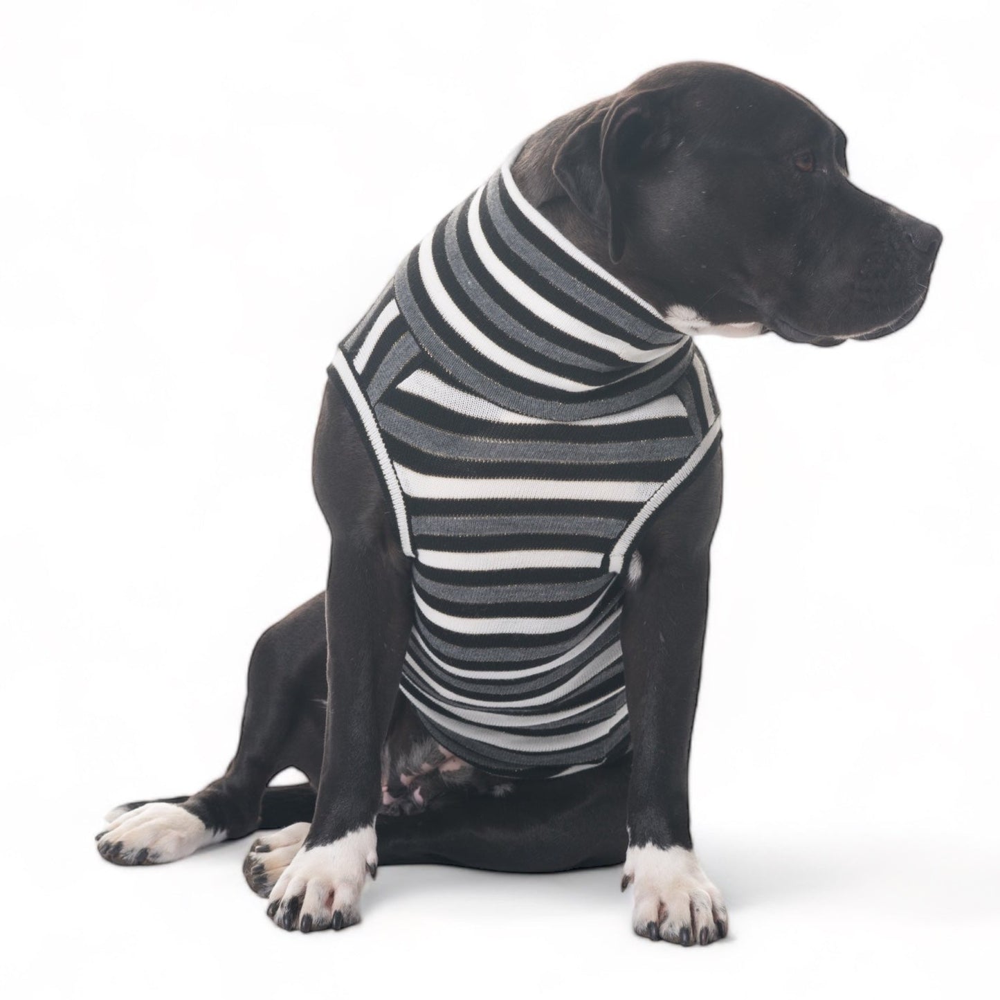 Dolcevita in Lana Striped Look
