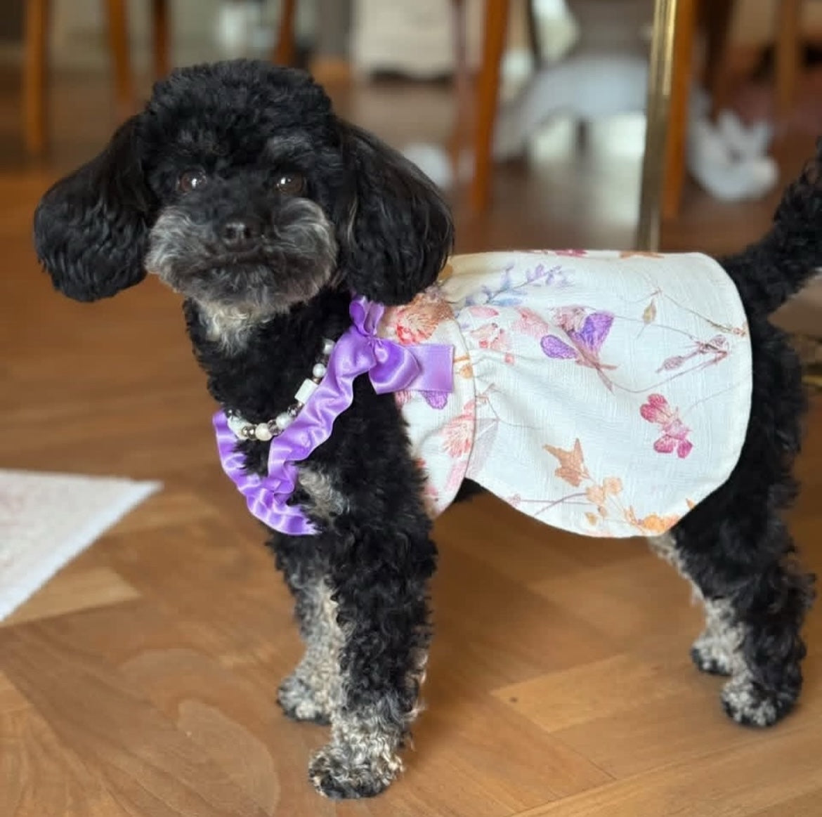 Bambolina Dress