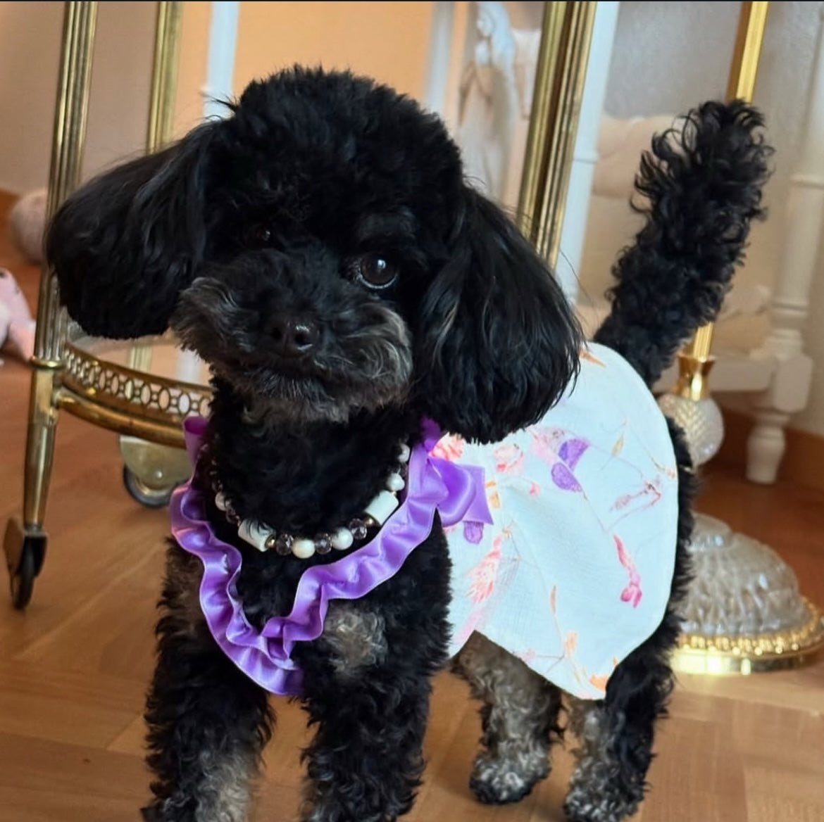 Bambolina Dress