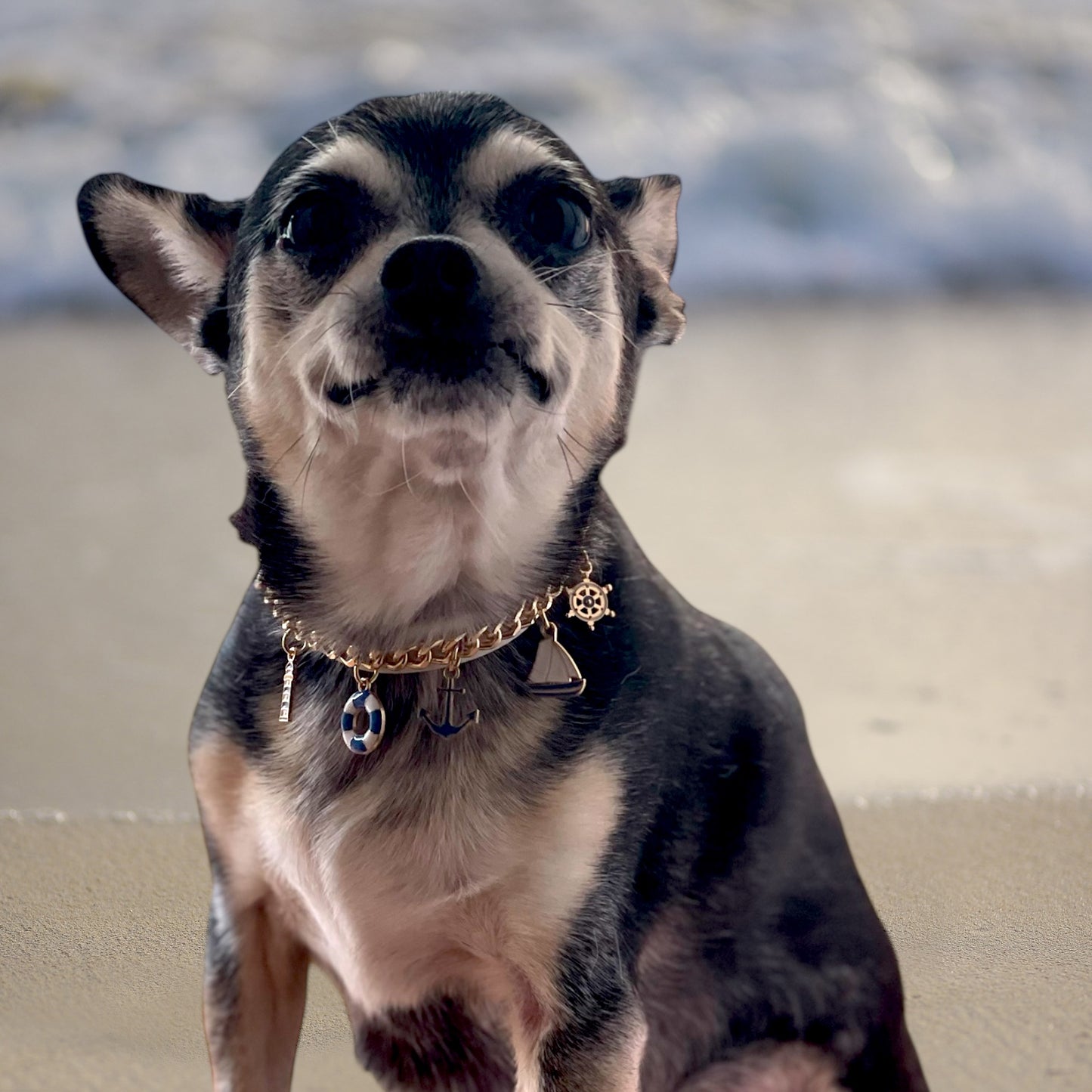 Sea Collar, Sea Scent