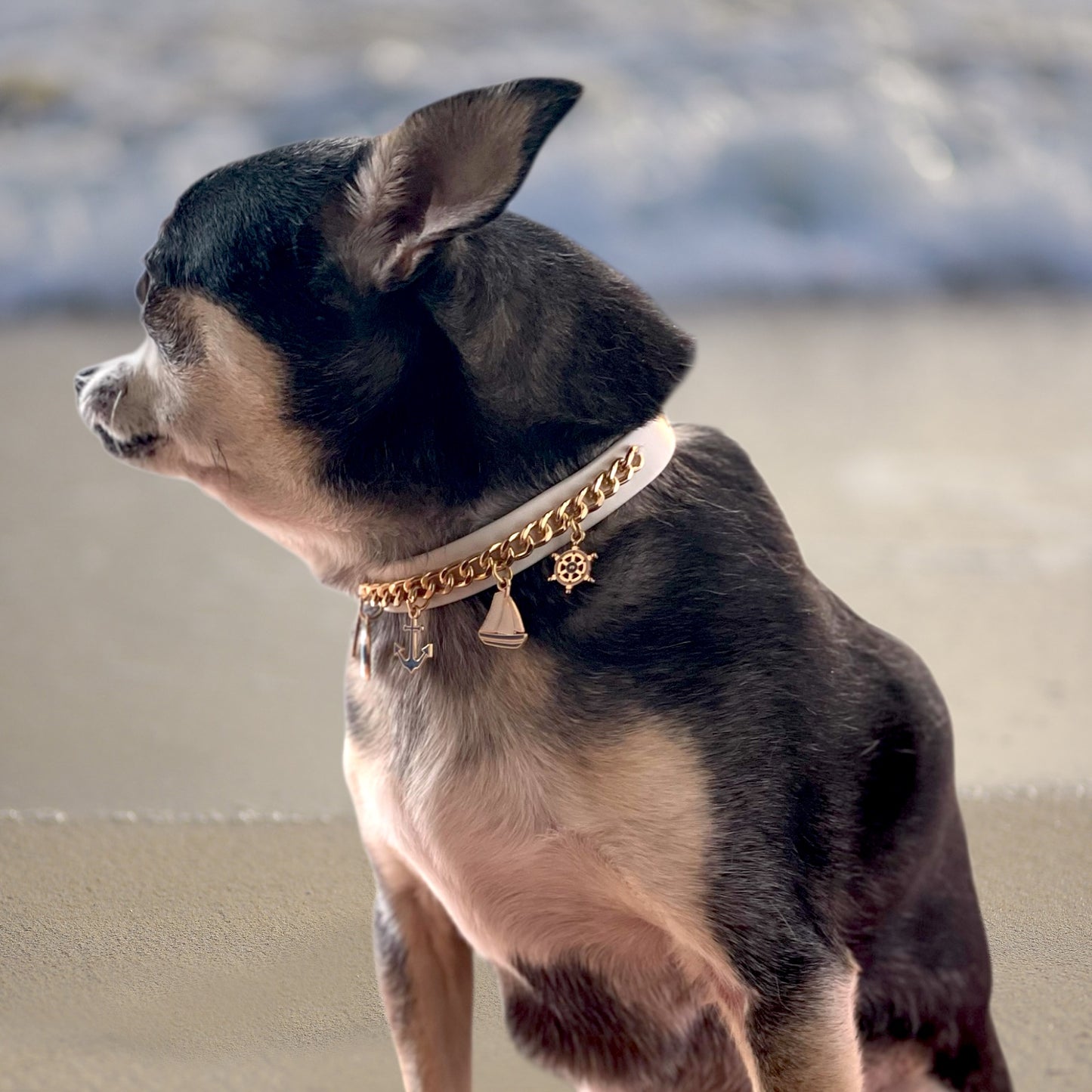 Sea Collar, Sea Scent