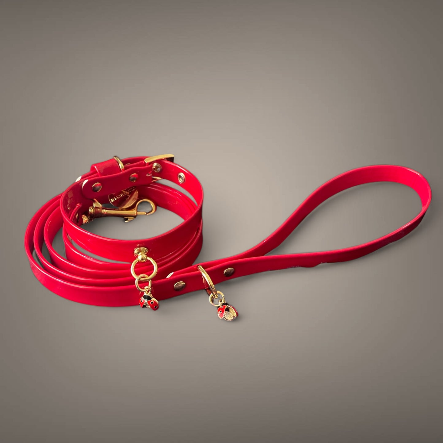 Ladybird Collar