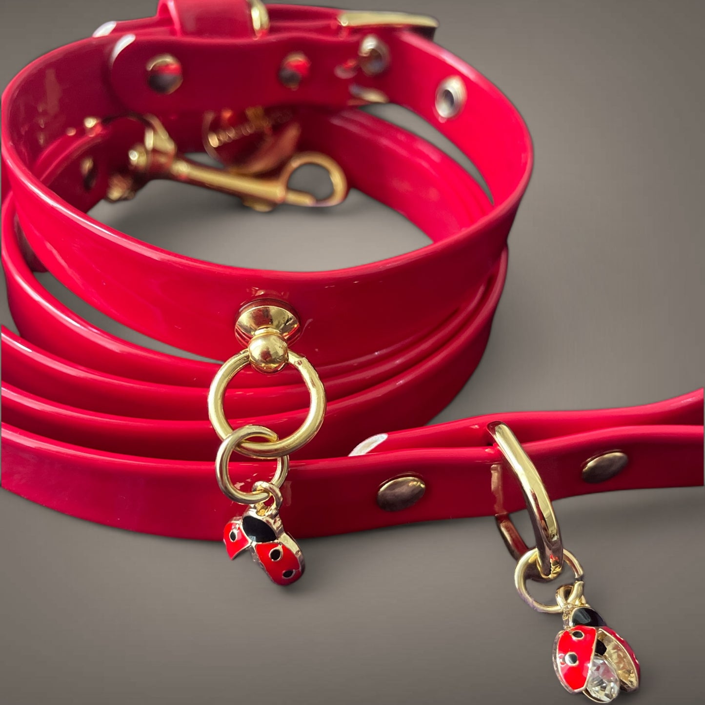 Ladybird Collar