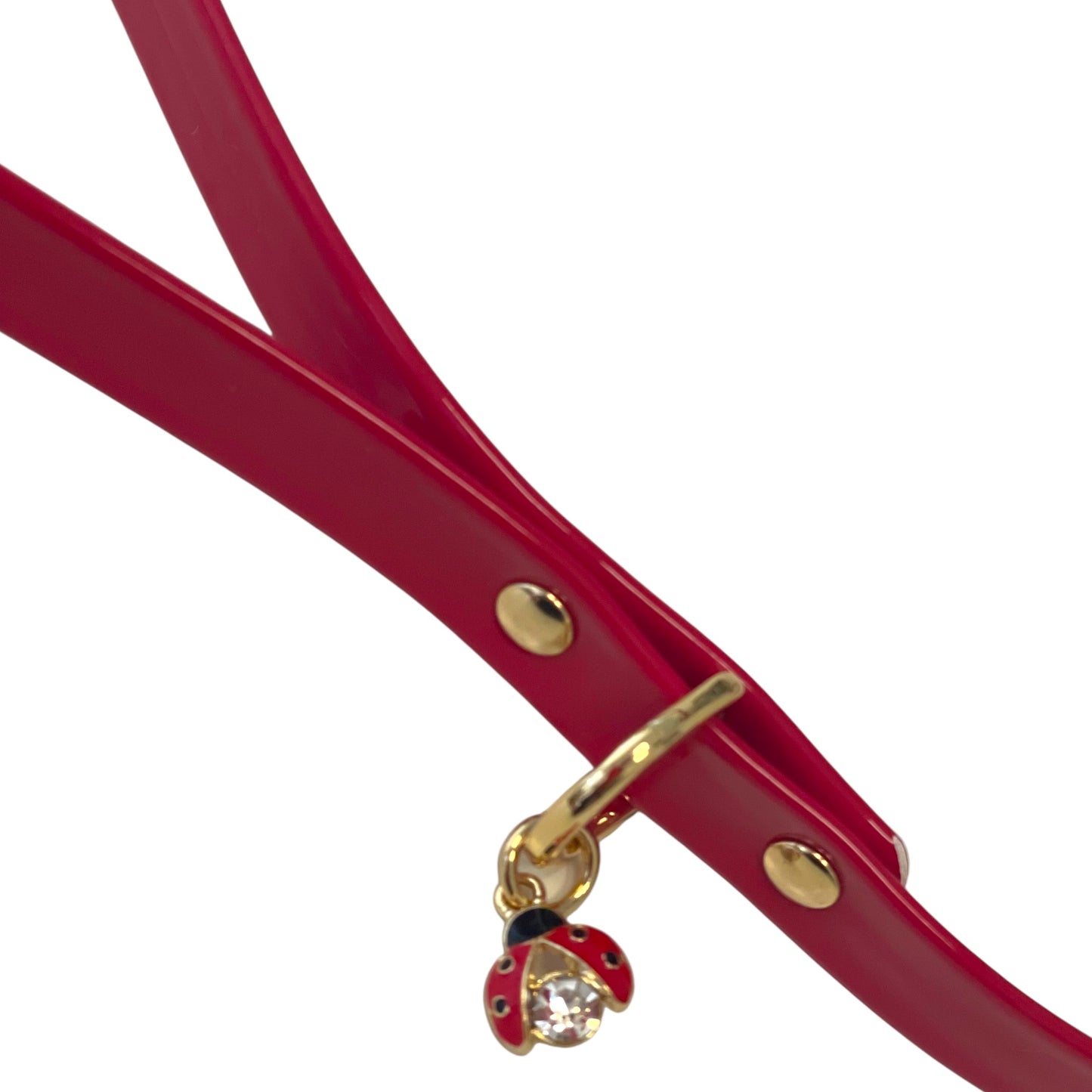 Ladybird Leash