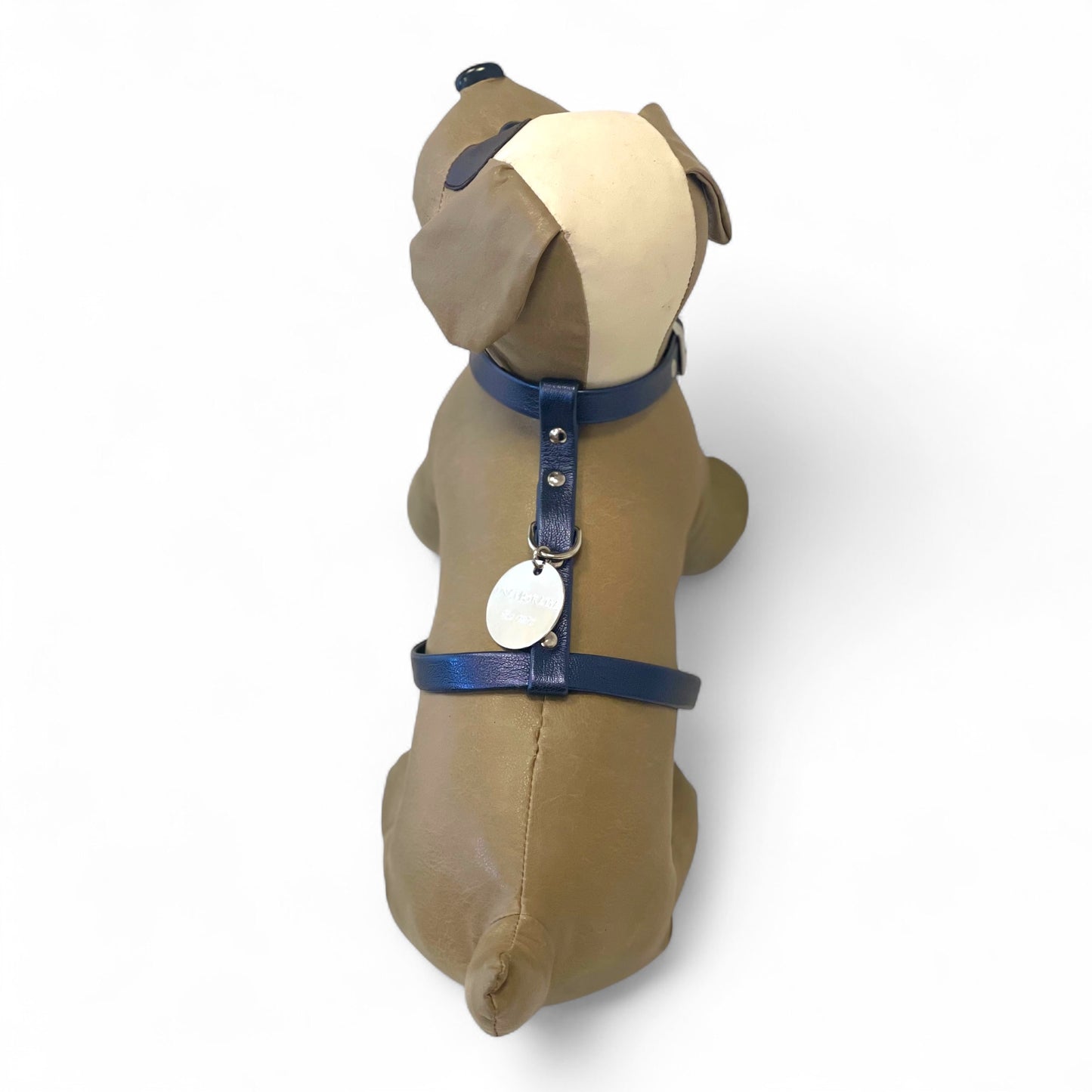 H Harness