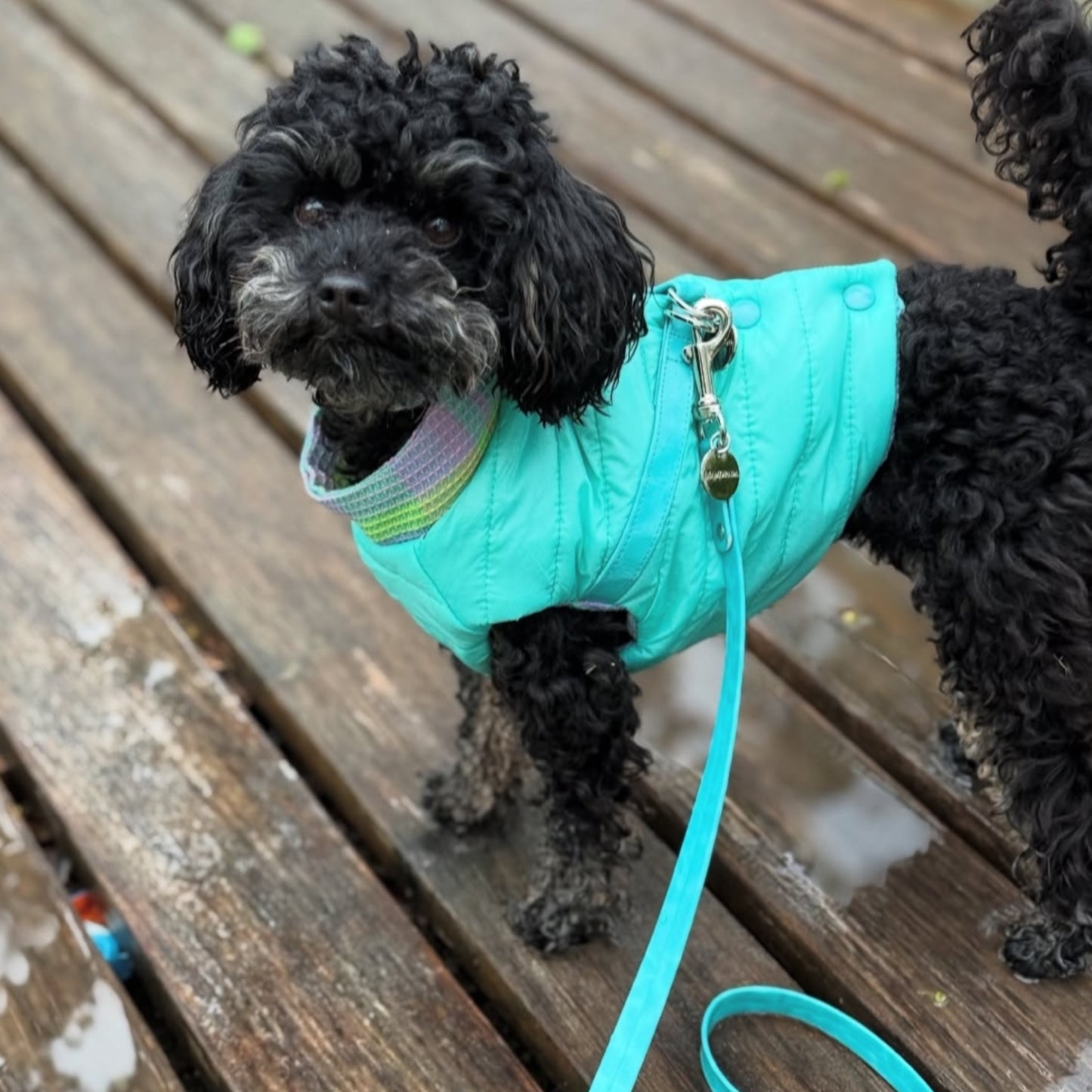 Light Puffer Harness
