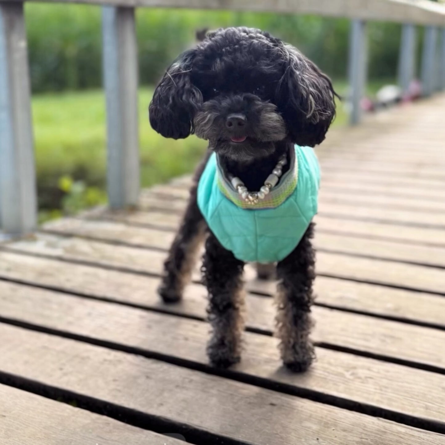 Light Puffer Harness