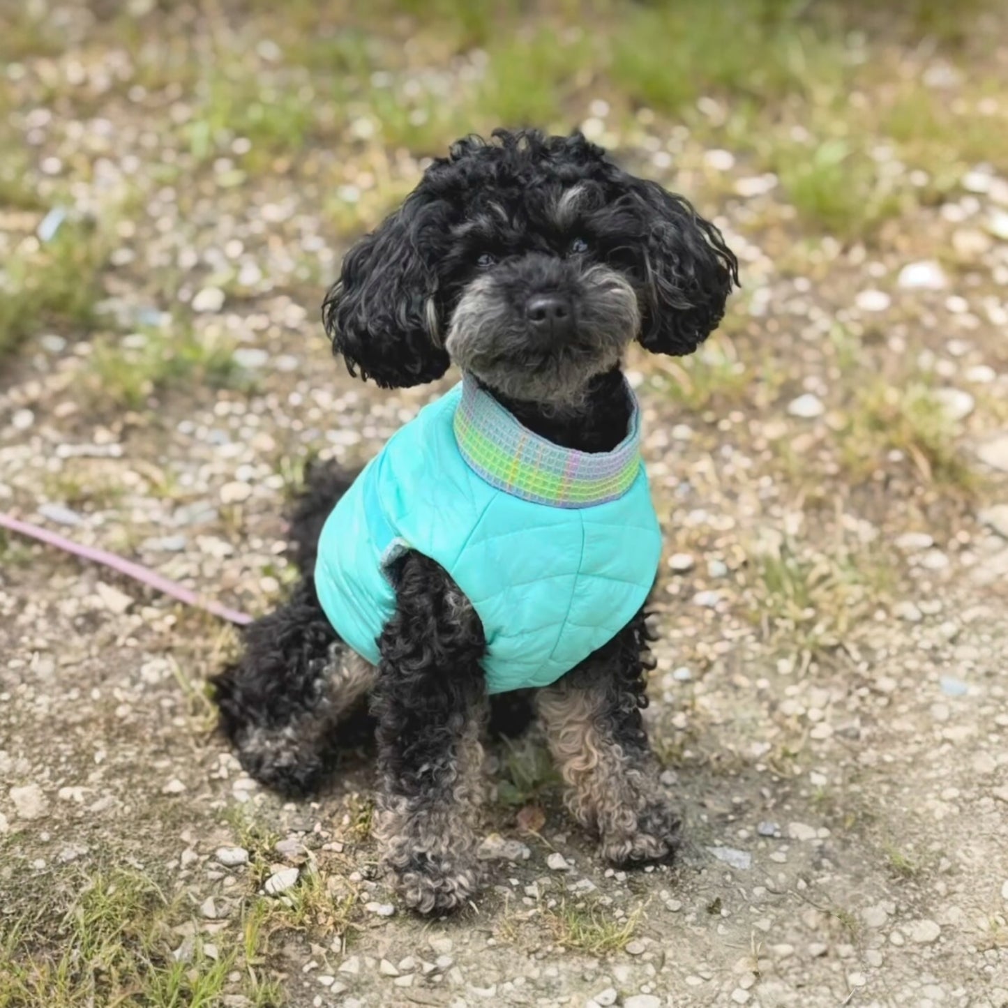 Light Puffer Harness