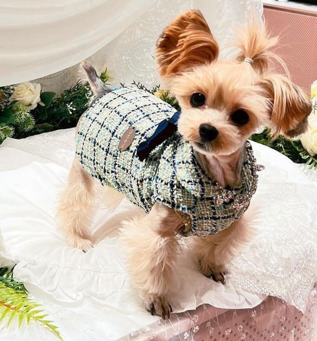 Tweed Dress