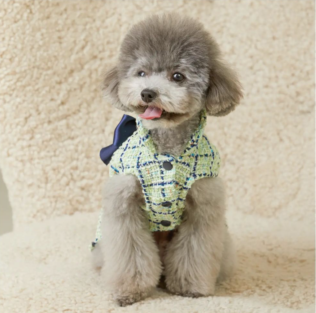 Tweed Dress