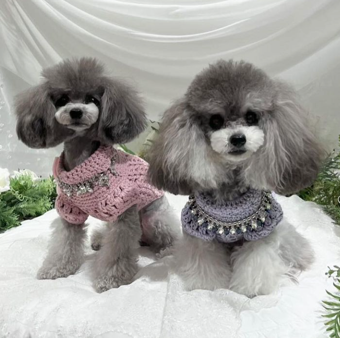 Top Crochet
