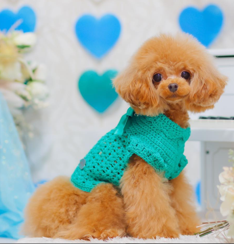 Top Crochet