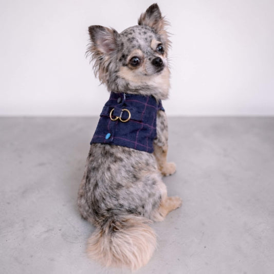 Duc Harness
