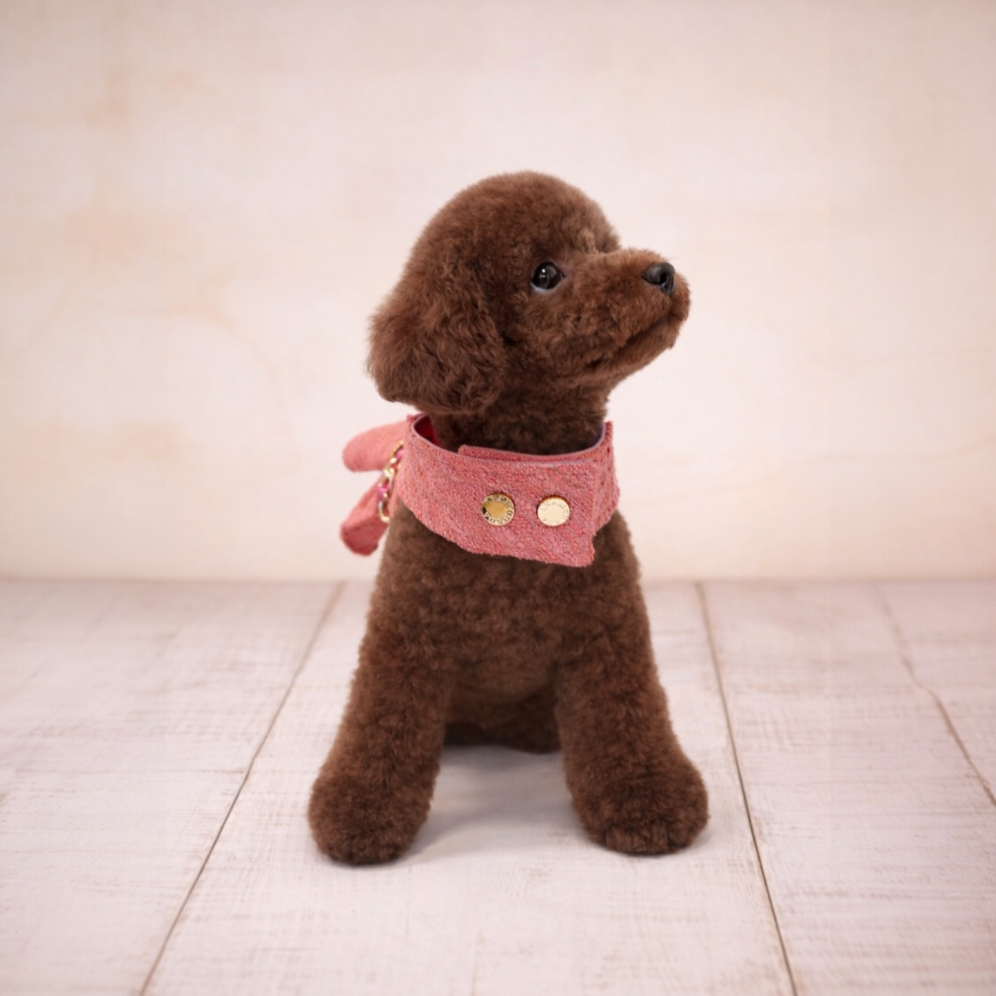 Coraline Harness