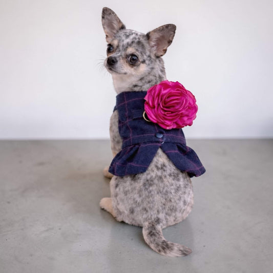 Duchesse Harness