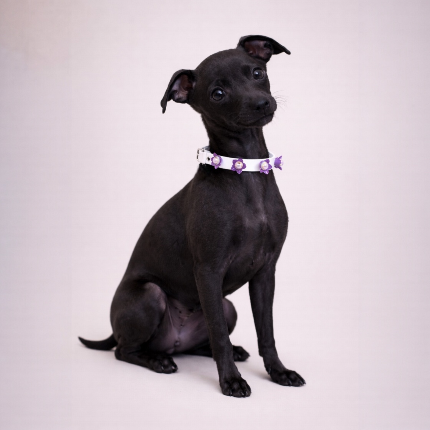 Collare Fiore di Loto