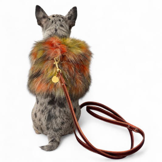 Pettorina Wonderfur